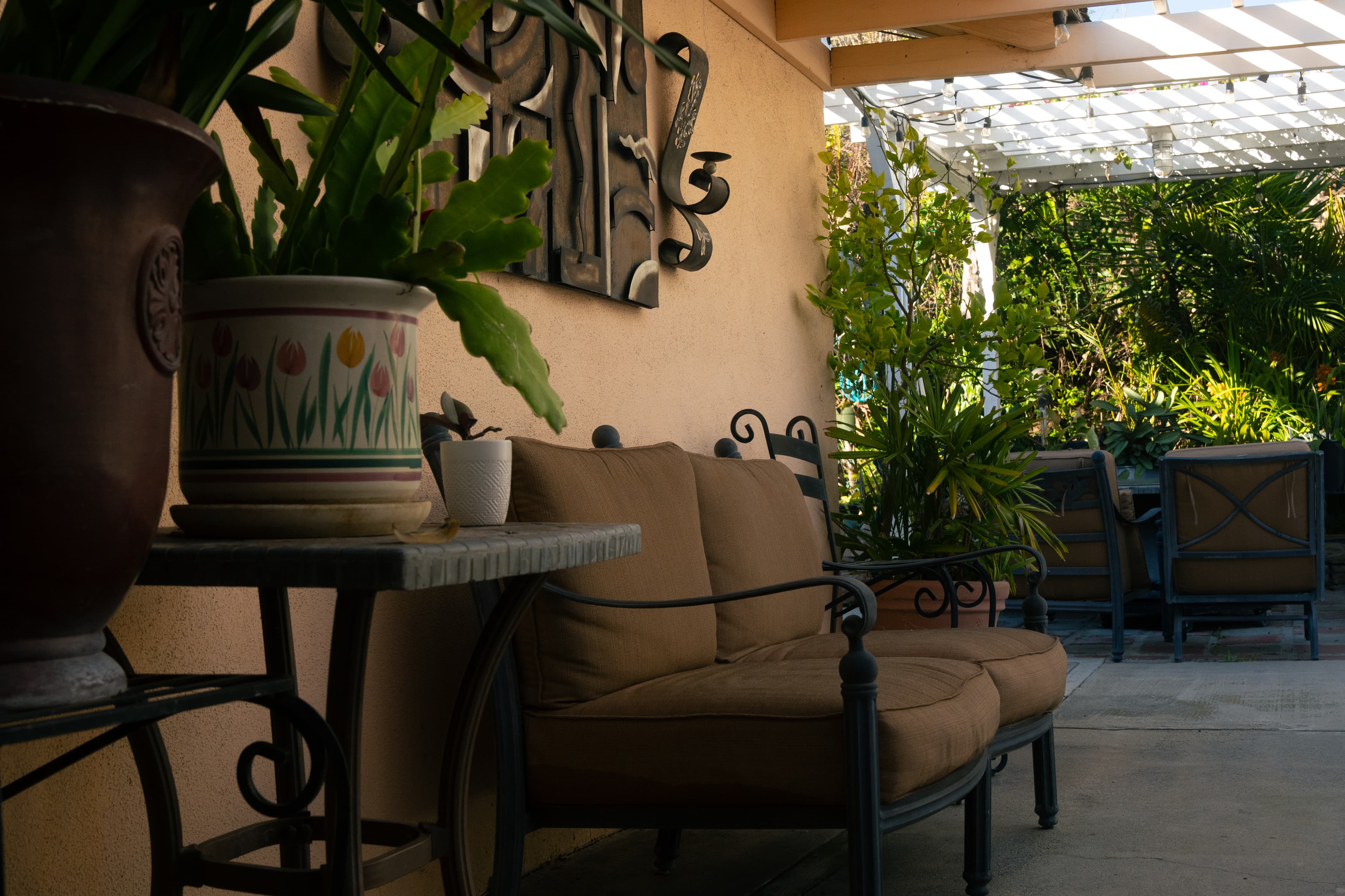 Backyard-4